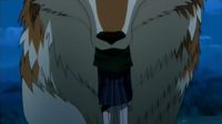 wolf1308.jpg