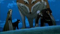 wolf1309.jpg